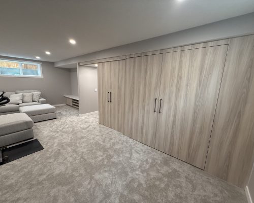 Basement Living Rooms and Cabinetry