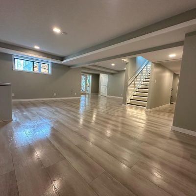 Large Basement Renovation