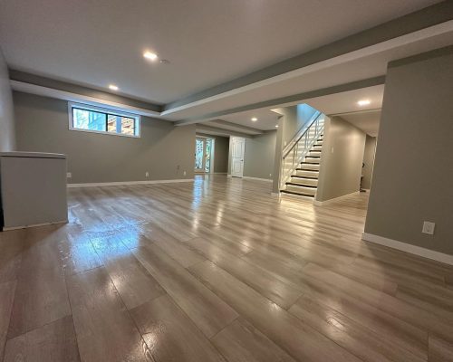 Large Basement Renovation